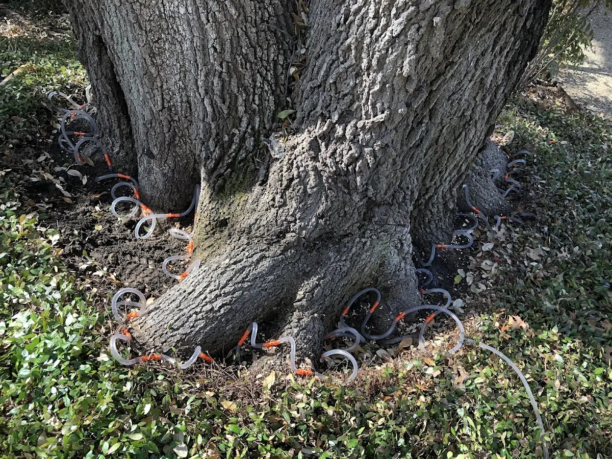 Detailed Shrub and Hedge Trimming job site in West Liberty