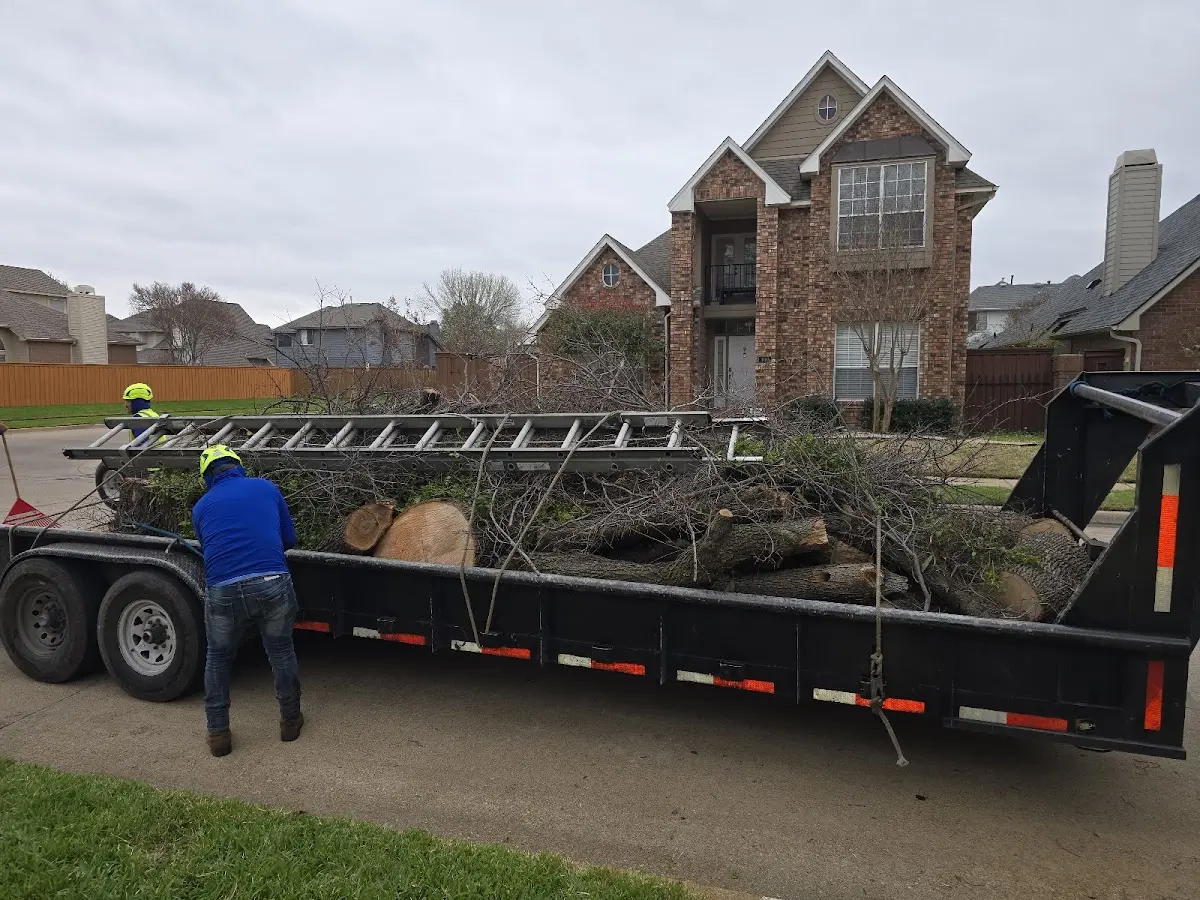 Expert Tree Removal with proper safety equipment in West Liberty